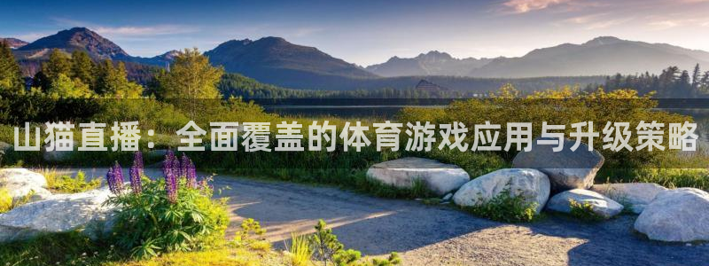 山猫直播：全面覆盖的体育游戏应用与升级策略