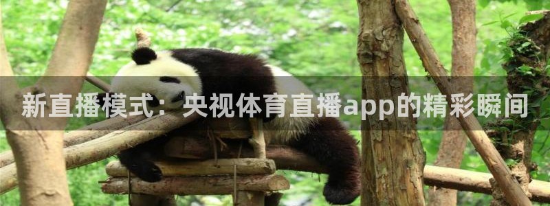 新直播模式：央视体育直播app的精彩瞬间
