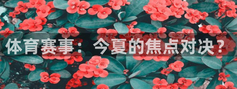 体育赛事：今夏的焦点对决？