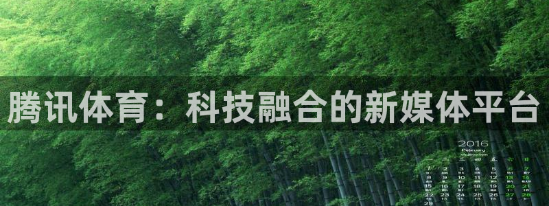 腾讯体育：科技融合的新媒体平台